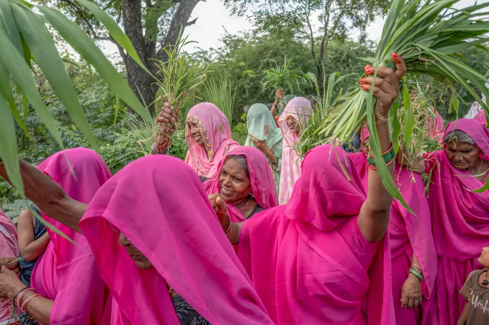 Smiling women in pink saris raise bunches of green grass above their heads outdoors, with trees in the background.