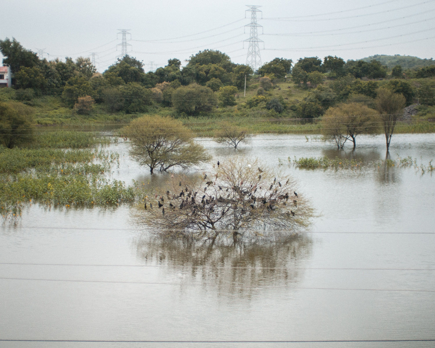 The PhotoBridge Project