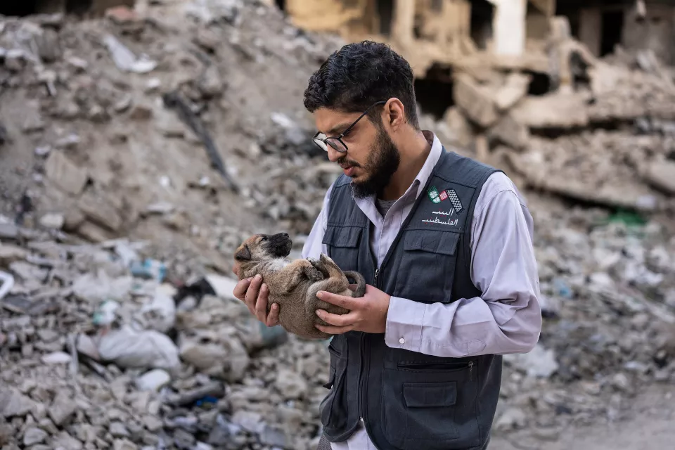 Dr. Khaldoun Muawiyah Al-Mallah, 43, director and founder of The Palestinian House with a with a puppy in his hands